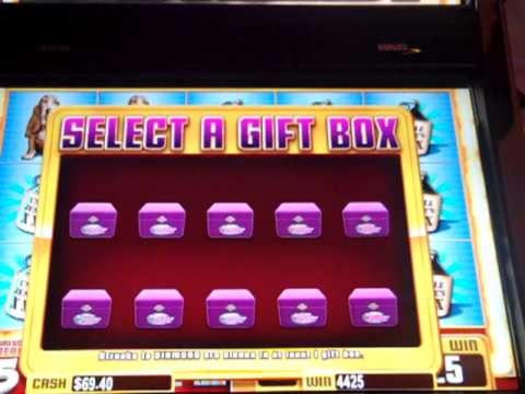 605% casino match bonus at Casino Cruise