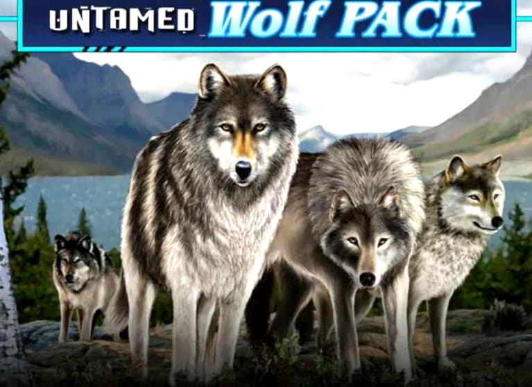 Eur 555 FREE CHIP at Jet Bull Casino