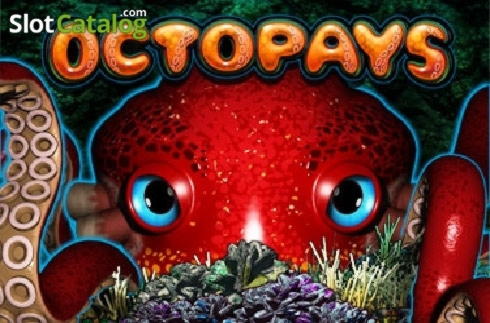 335% Welcome Bonus at Wunderino Casino