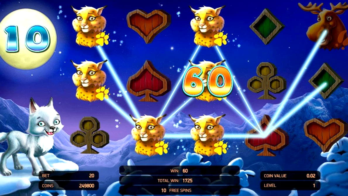 50% No Rules Bonus! at Royal Panda Casino