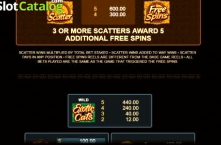 $230 Daily freeroll slot tournament at Karamba Casino