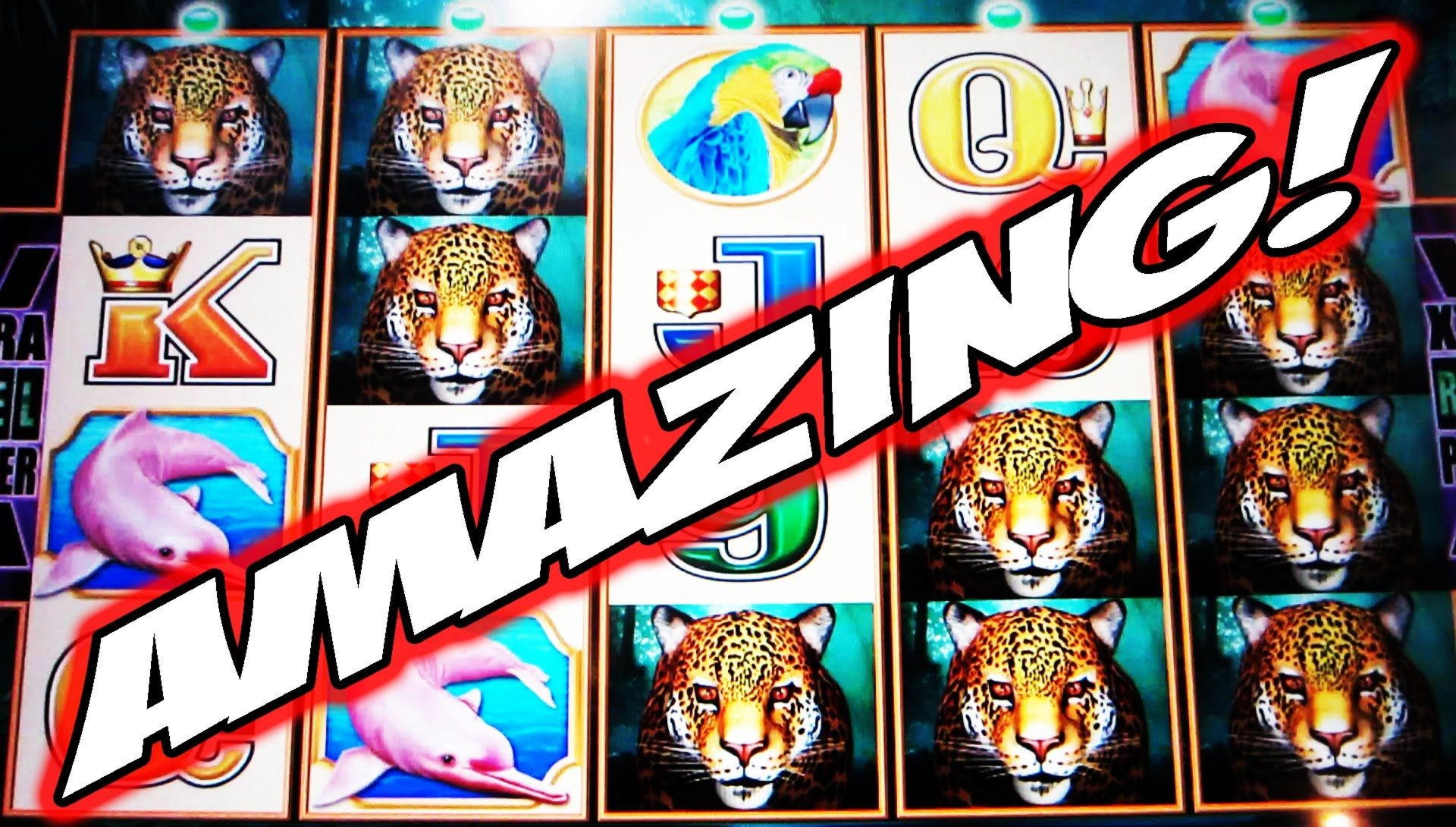 255% Signup Casino Bonus at Spin Up Casino