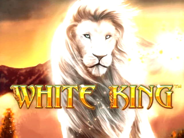 310% Best Signup Bonus Casino at Spin Palace Casino