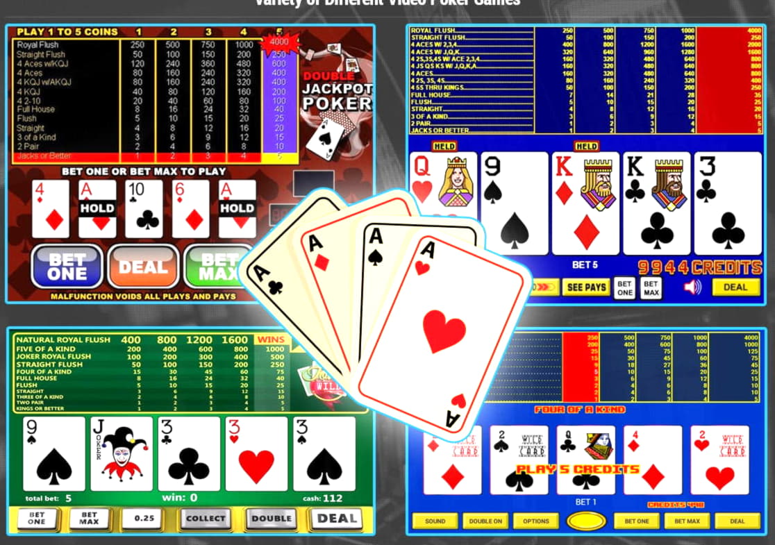 755% No Rules Bonus! at Slotty Dubai Casino