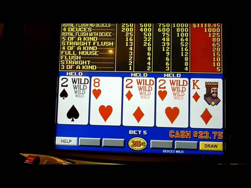100 Free Spins no deposit casino at Casino Cruise