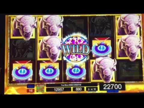 335% Signup Casino Bonus at Platin Casino