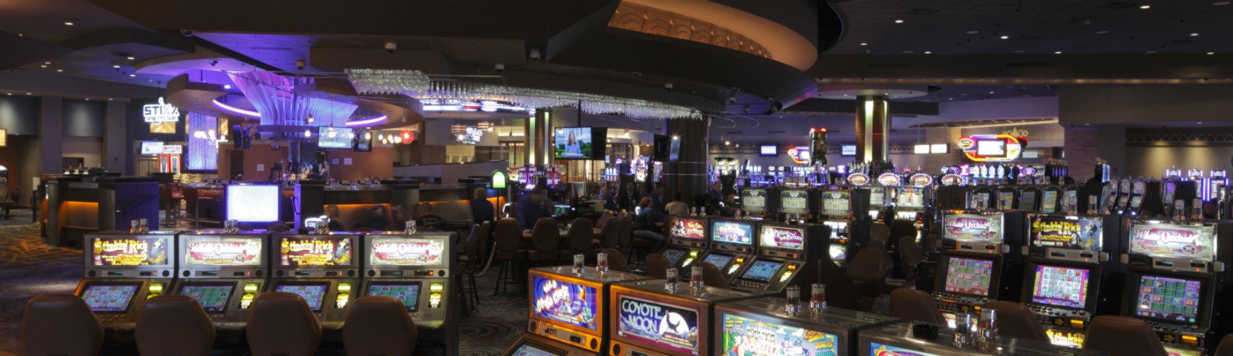 160 Free Casino Spins at Mrgreen Casino