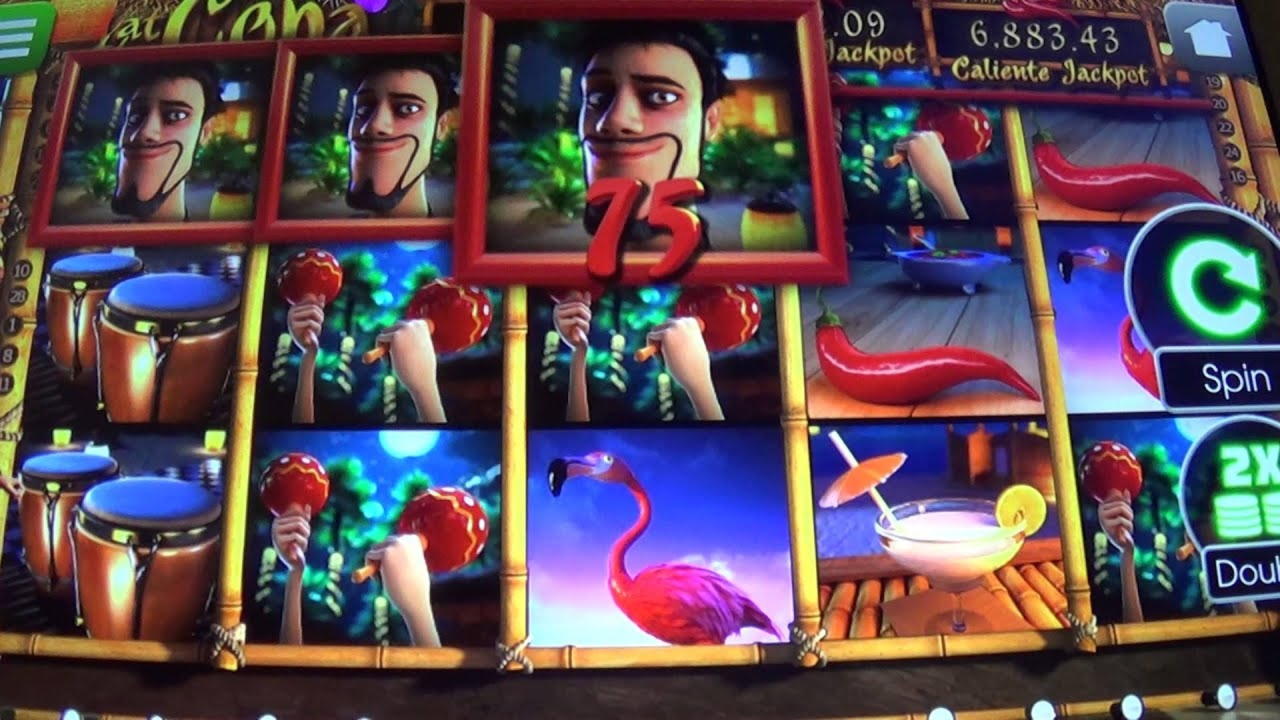 $70 no deposit bonus at Wix Stars Casino