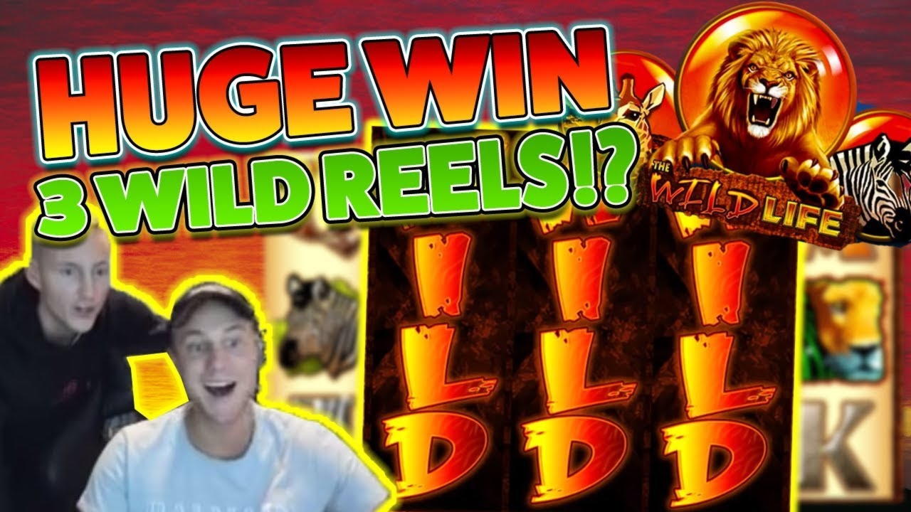 130 free spins casino at Casino Cruise