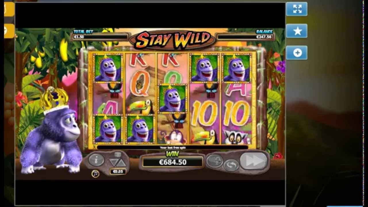 $835 Tournament at Platin Casino