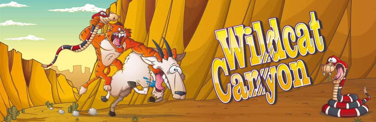 EURO 995 Daily freeroll slot tournament at CasiPlay Casino