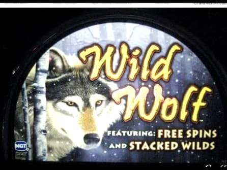 $540 free casino chip at bWin Casino