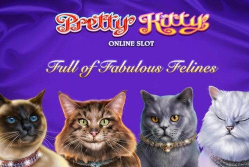 865% No Rules Bonus! at CasiPlay Casino