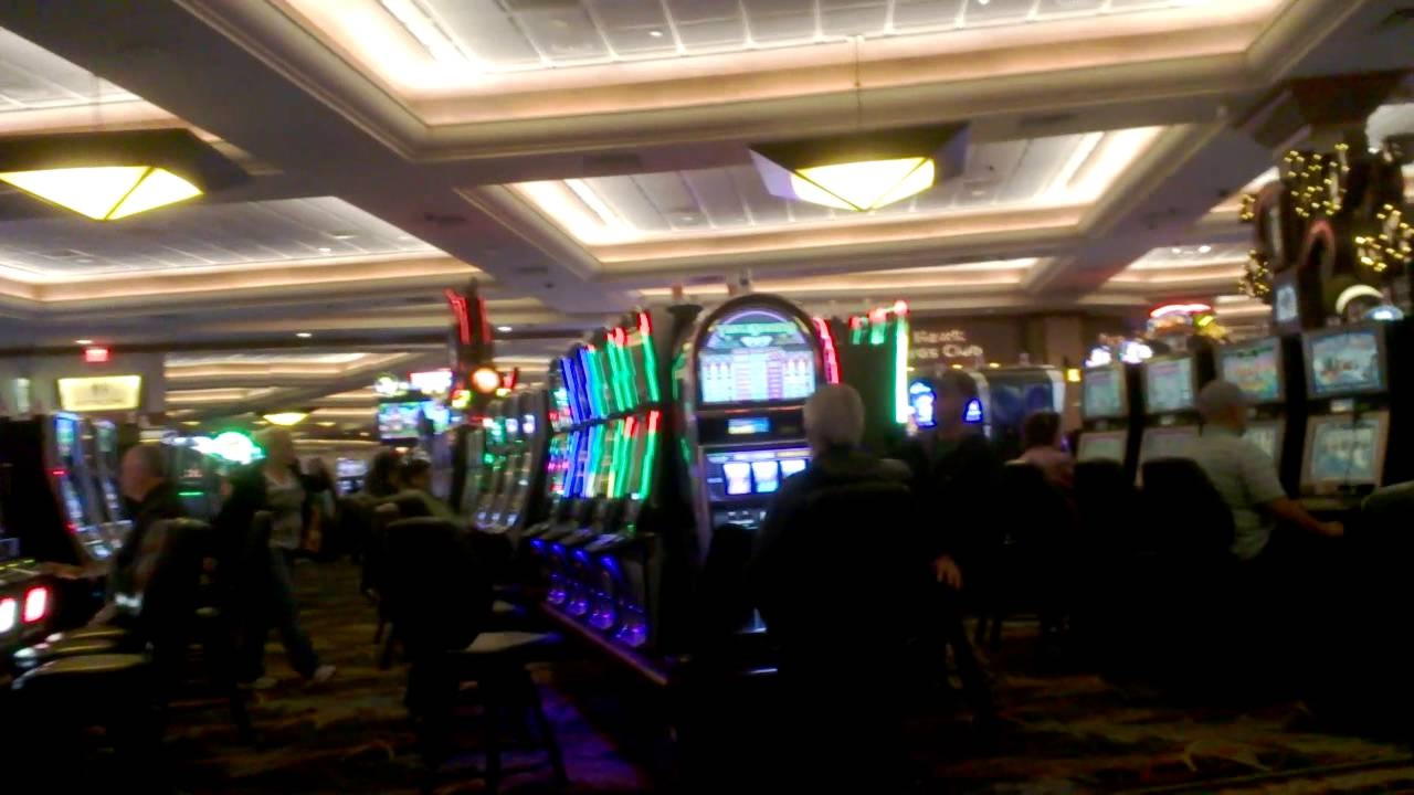 830% No Rules Bonus! at Spin Up Casino
