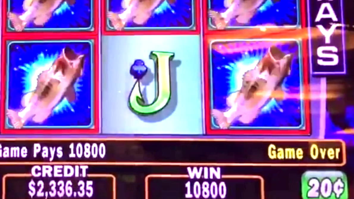 11 Free Spins Casino at Royal Panda Casino