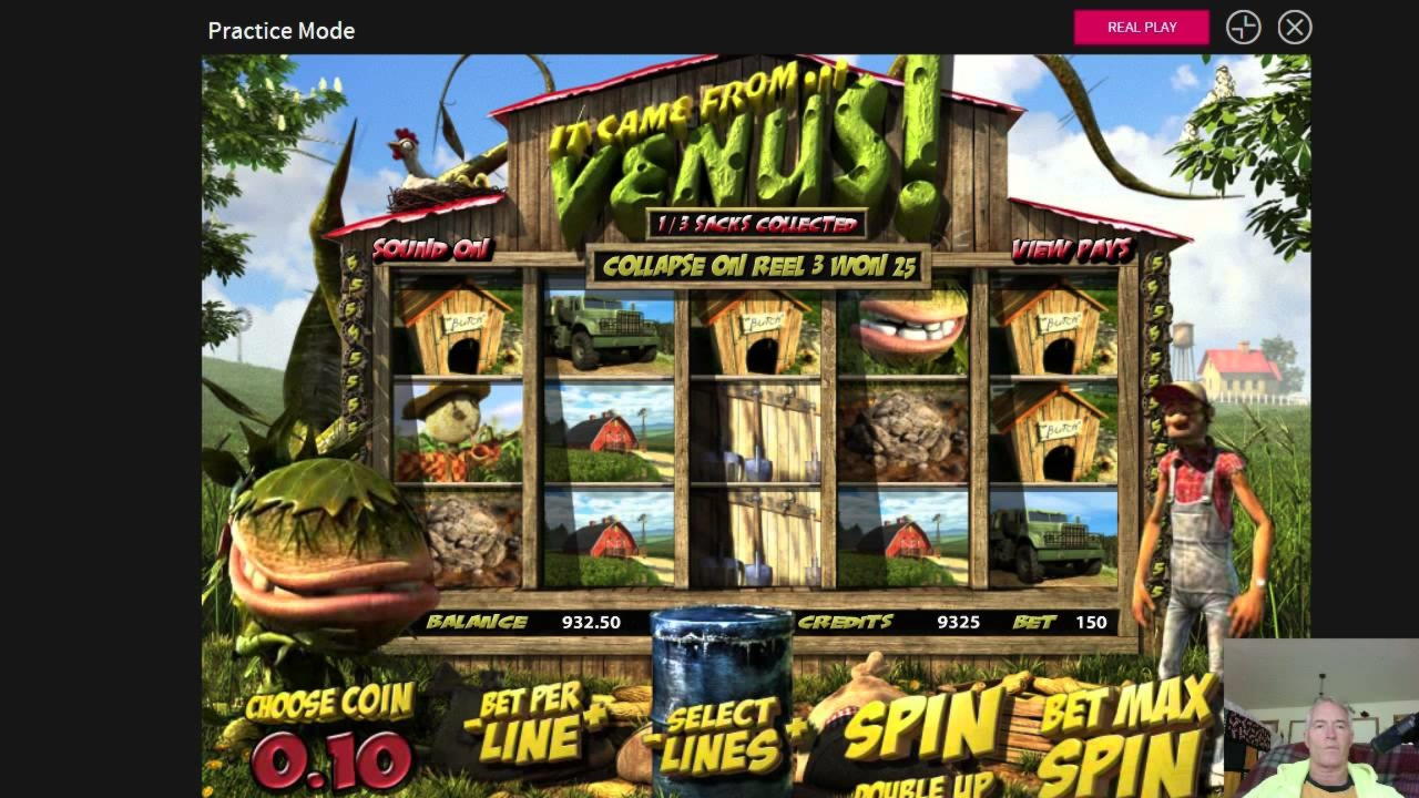 77 Free spins casino at Wix Stars Casino