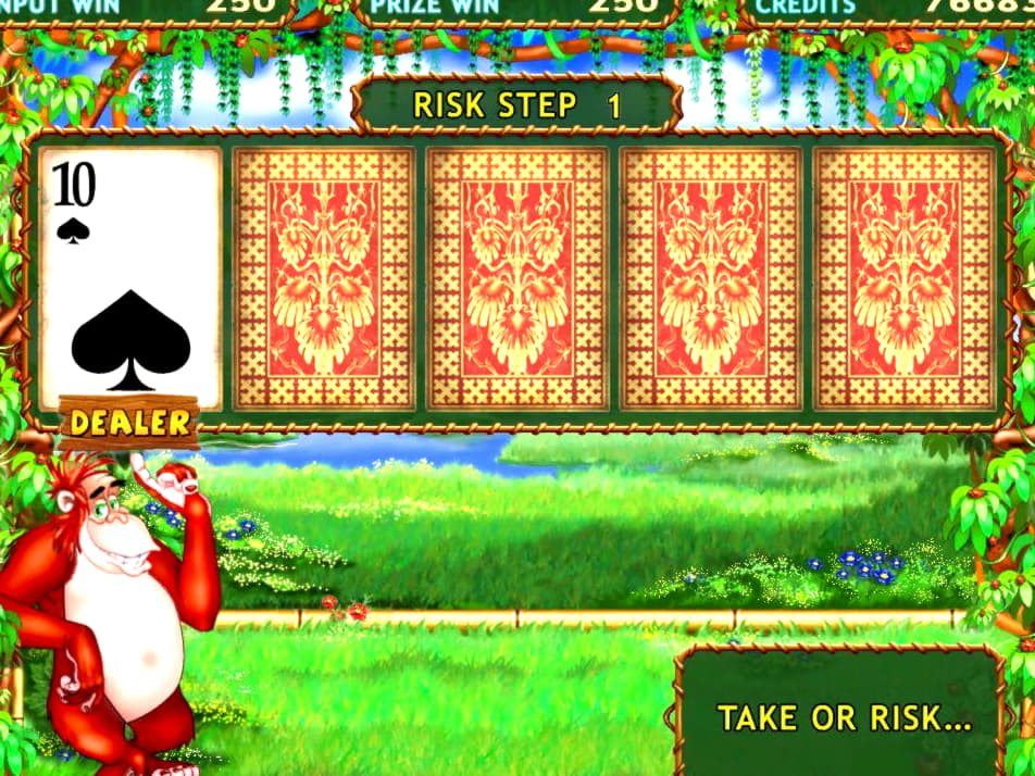 35 Free Spins Casino at Slotty Dubai Casino