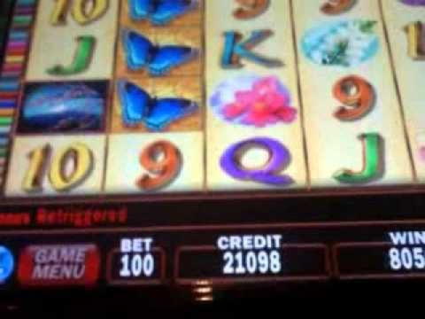 EUR 4010 no deposit casino bonus at Twin Casino
