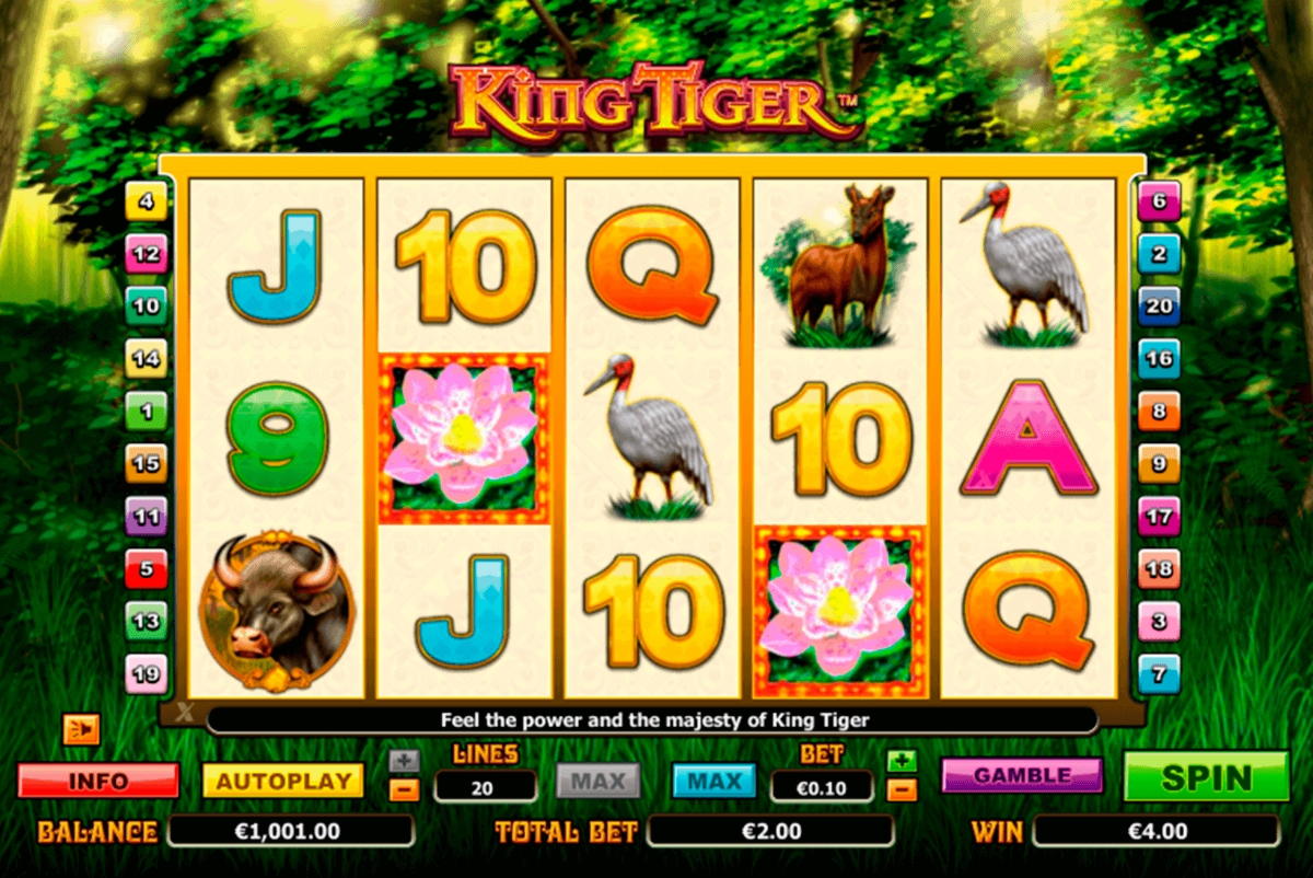 EURO 1380 no deposit bonus casino at Wunderino Casino