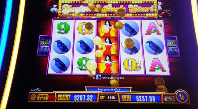 205 free casino spins at Yako Casino