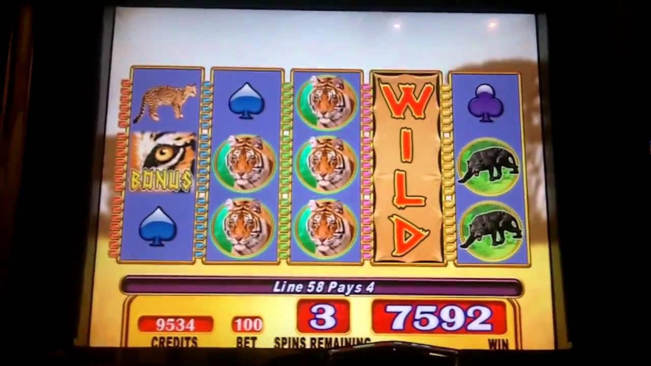 $275 Daily freeroll slot tournament at Casino Cruise
