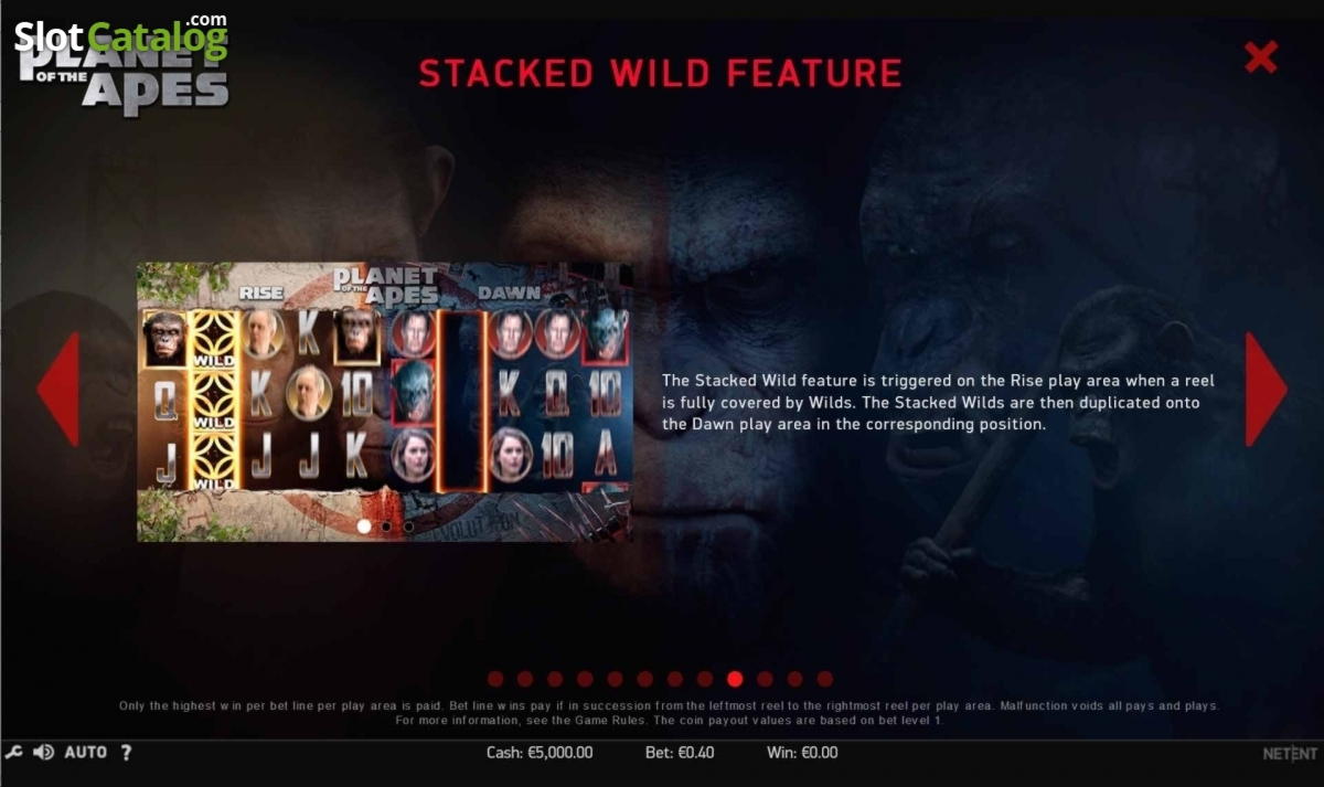 €935 Tournament at Spin Up Casino
