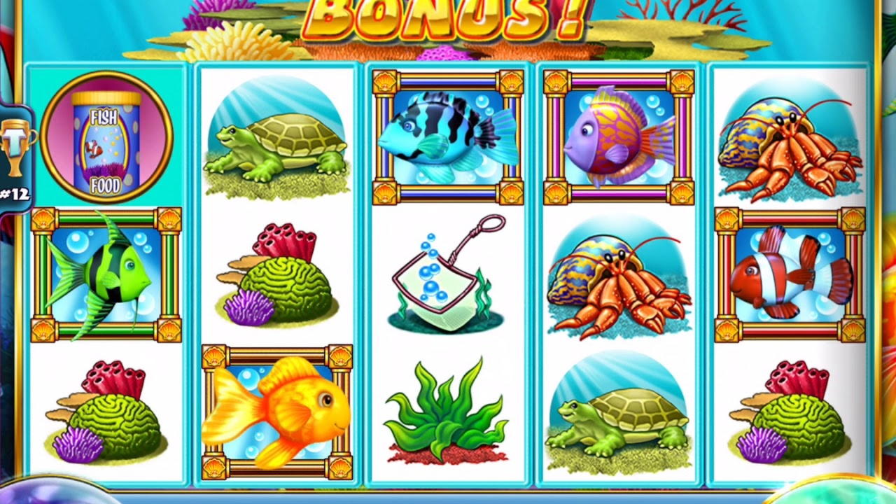 205 free spins no deposit casino at Wix Stars Casino