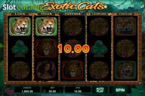 $570 Free Cash at Jackpot City Casino