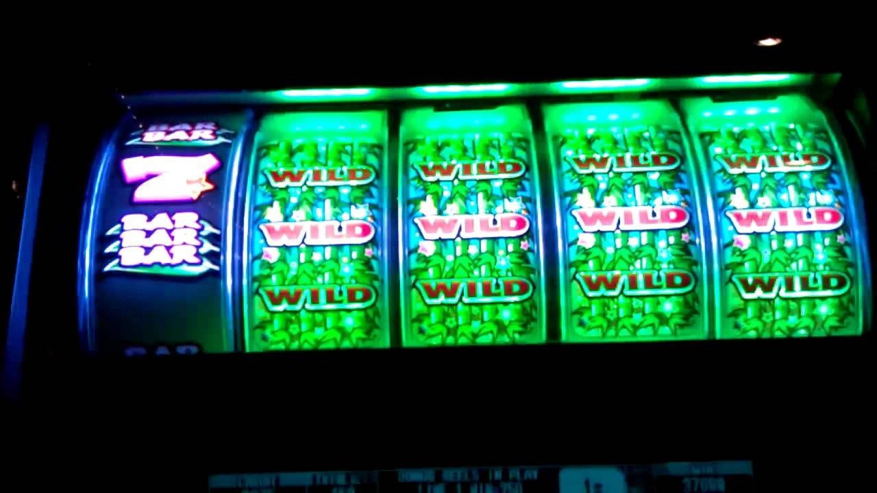 £165 Casino Tournament at Yes Casino 
