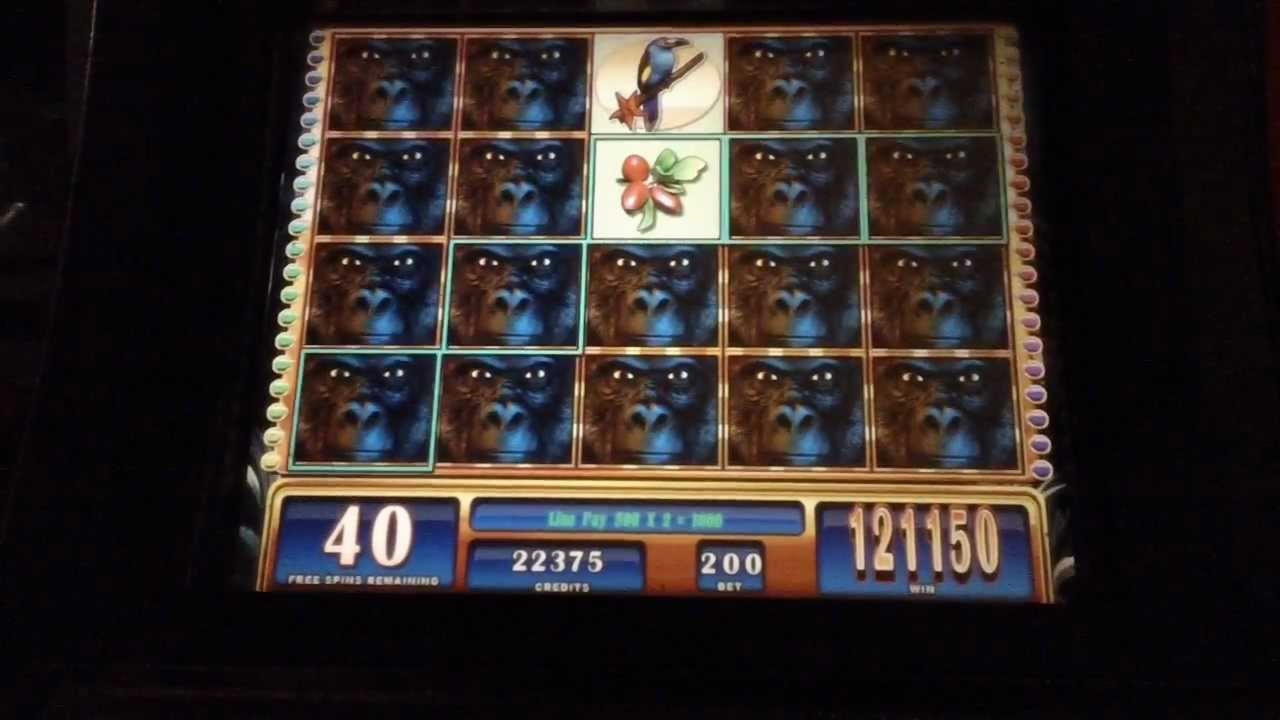 Eur 140 free chip at CasiPlay Casino