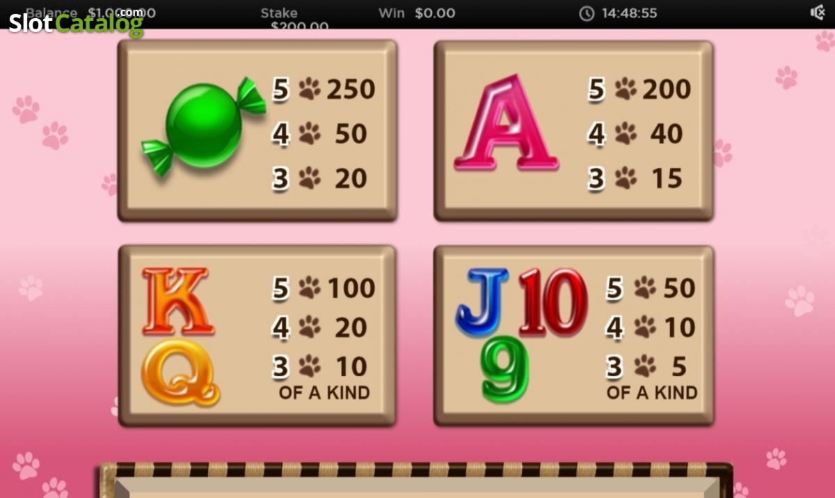 490% First deposit bonus at CasiPlay Casino