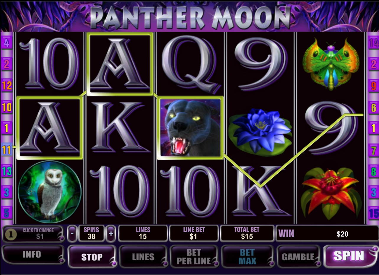 EURO 4955 no deposit bonus at Cherry Casino