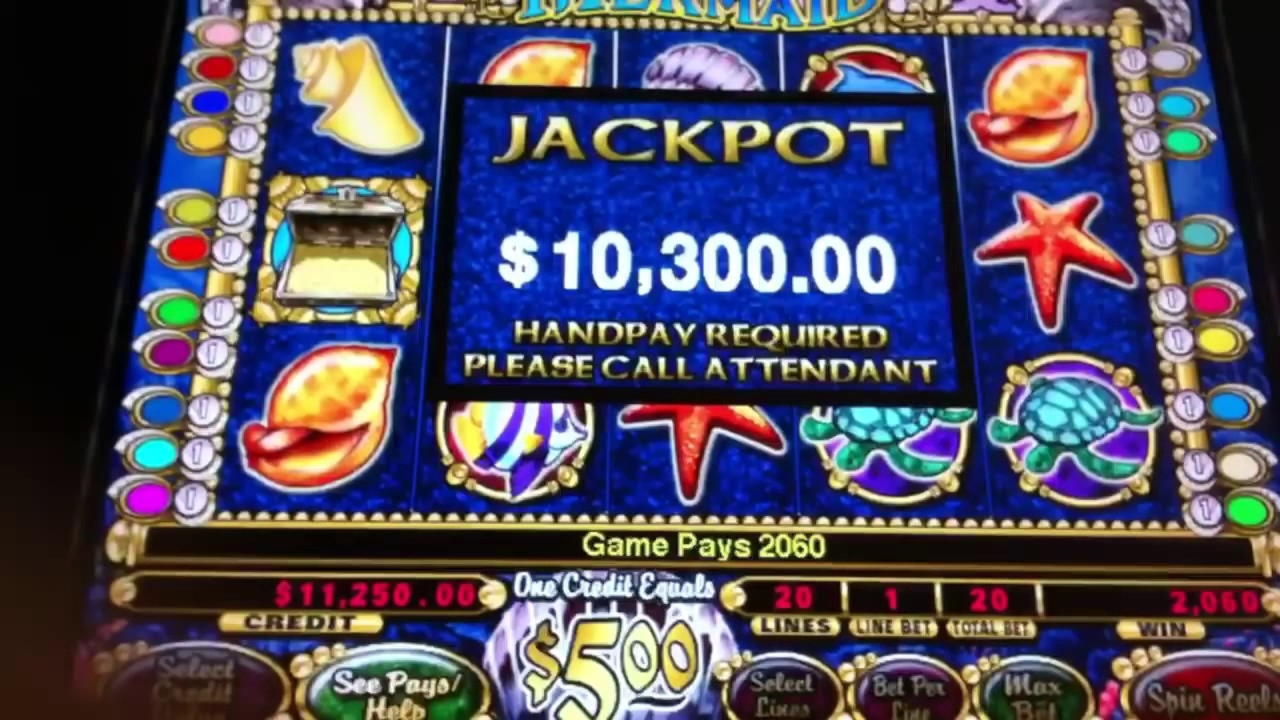 $255 Daily freeroll slot tournament at Royal Panda Casino