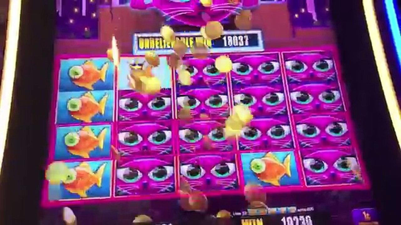 111 Loyalty Free Spins! at Spin Palace Casino
