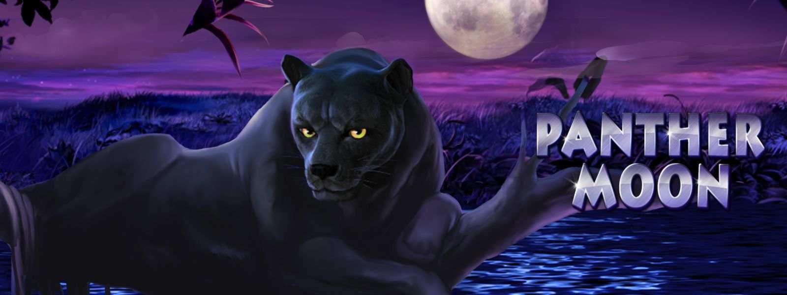 €595 Mobile freeroll slot tournament at Royal Panda Casino