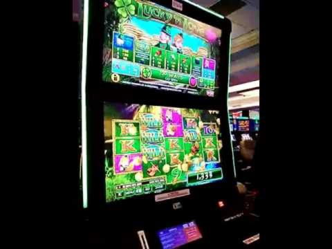 105 free spins no deposit at Slotty Dubai Casino