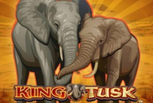 340% Casino Welcome Bonus at Wunderino Casino
