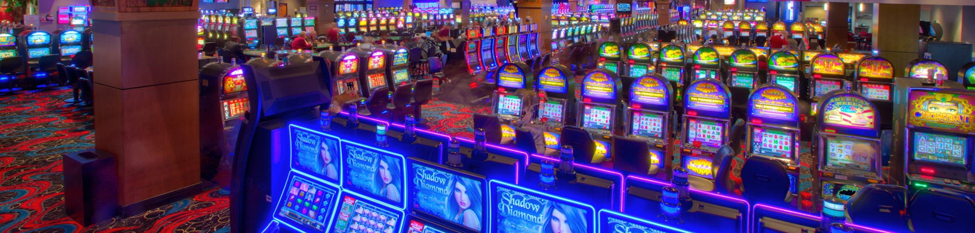 $845 Casino Tournament at Volt Casino