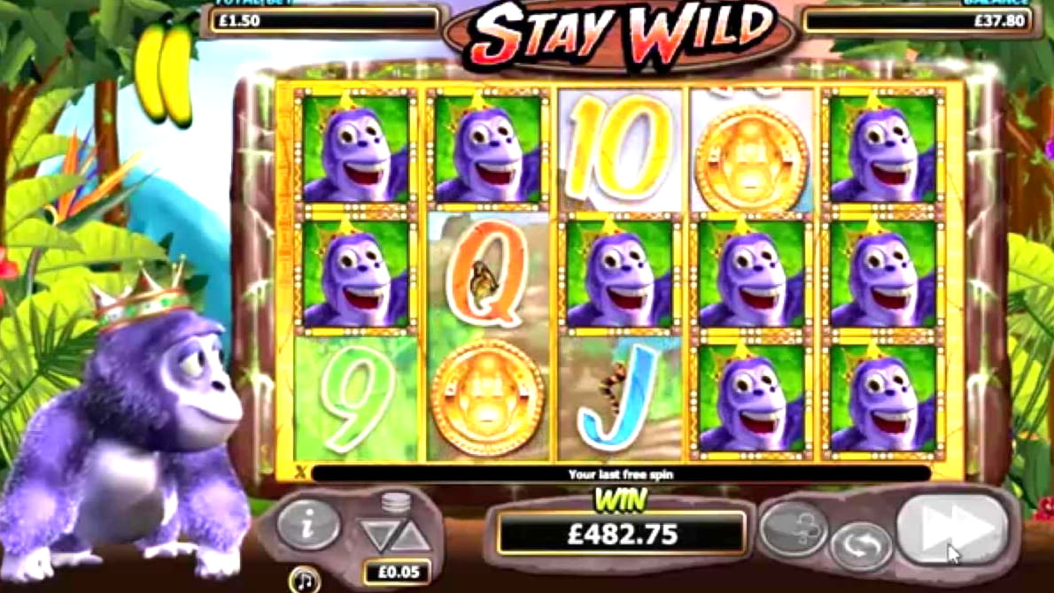 €795 Daily freeroll slot tournament at bWin Casino