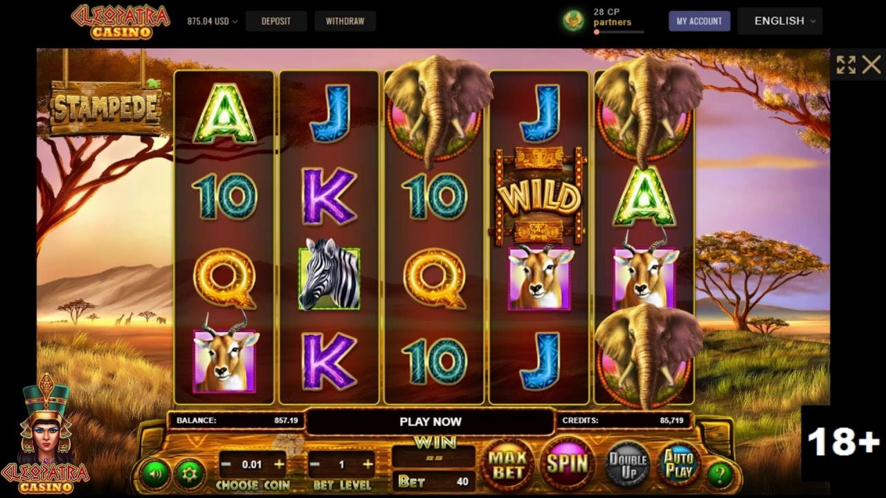 €120 Casino tournaments freeroll at Jet Bull Casino