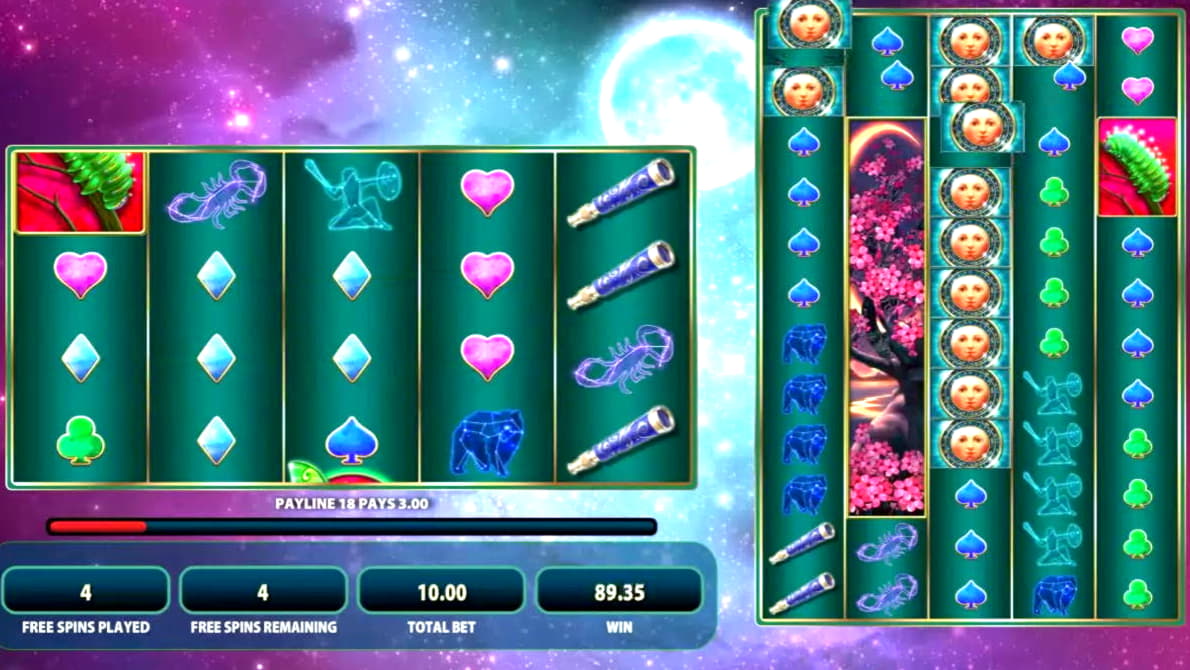 30 Free spins casino at Casino Cruise