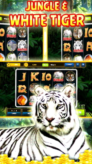 Eur 2425 No deposit bonus at Slotty Dubai Casino