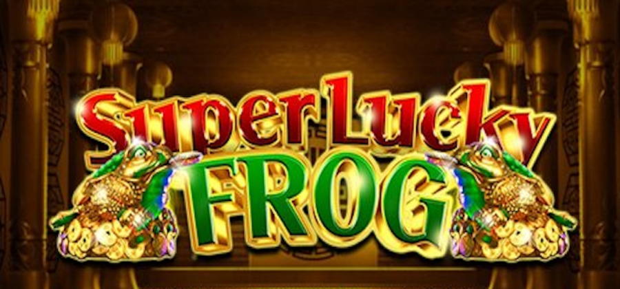 100 Loyal Free Spins! at Spin Palace Casino