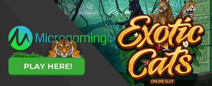 EUR 780 No Deposit Casino Bonus at Mrgreen Casino