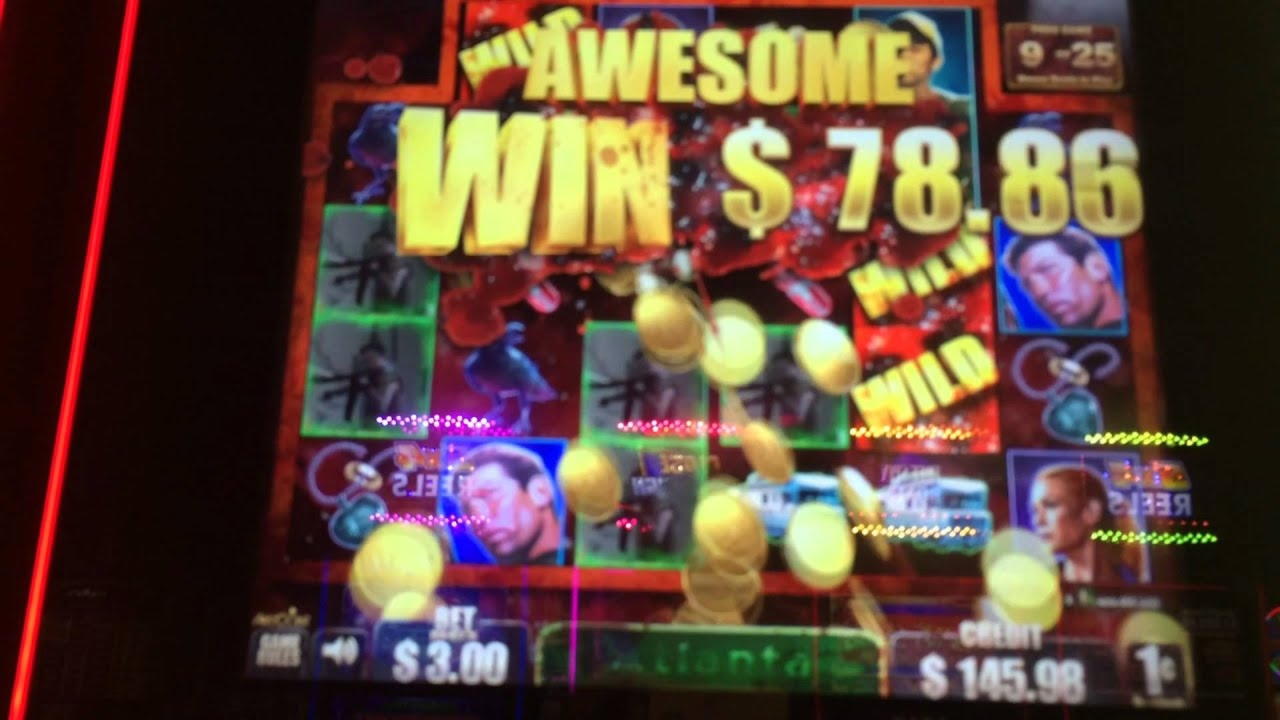 £2585 no deposit casino bonus at Slotty Dubai Casino