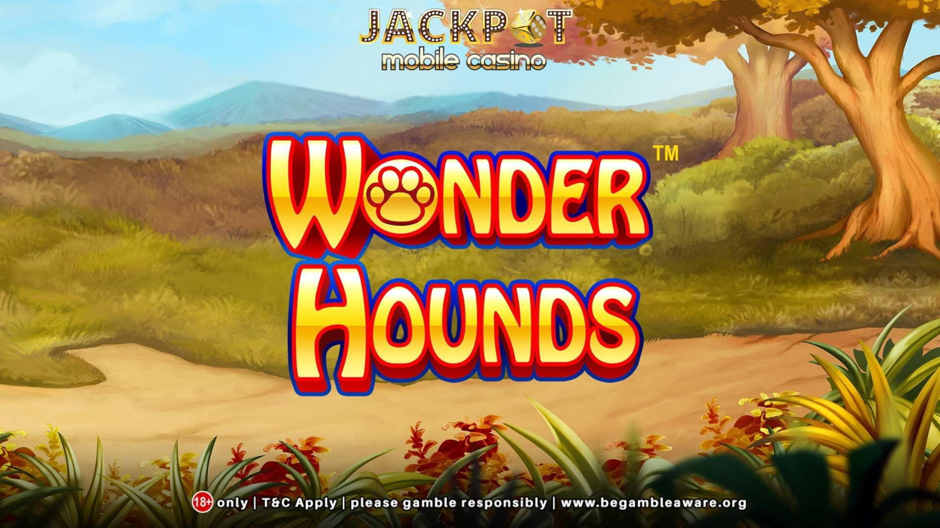 135 free spins casino at Magic Red Casino
