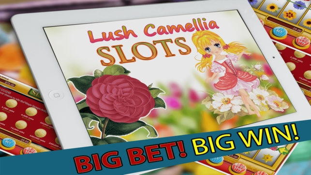EURO 990 Daily freeroll slot tournament at Energy Casino
