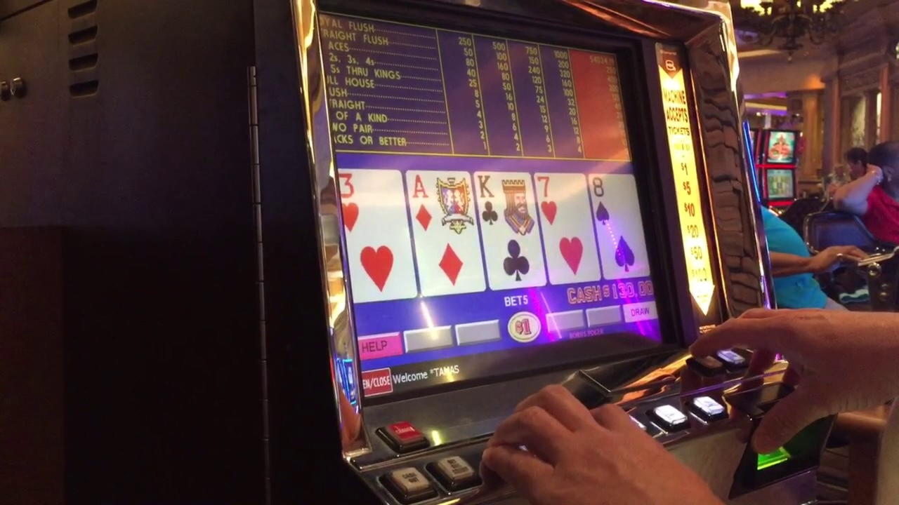 155 free casino spins at Spin Palace Casino