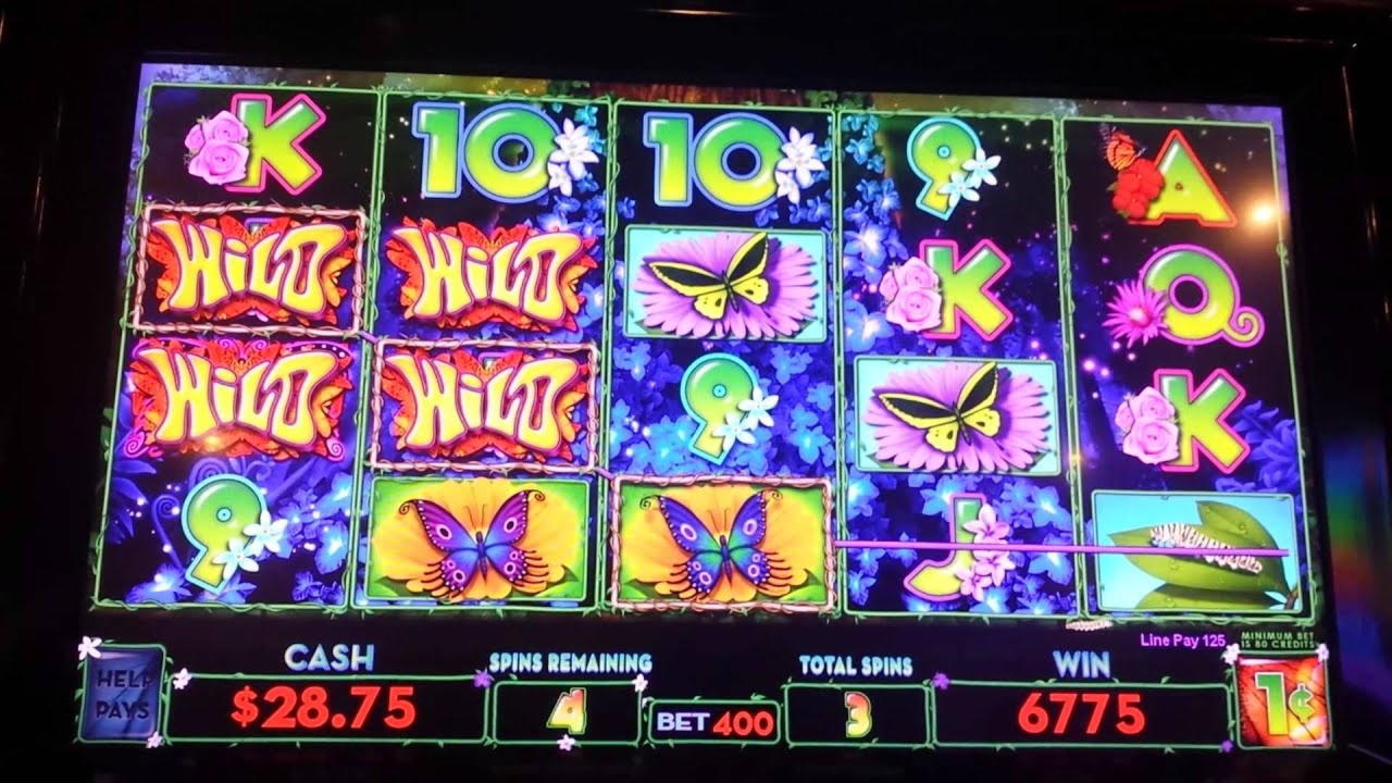 340% First deposit bonus at Slotty Dubai Casino