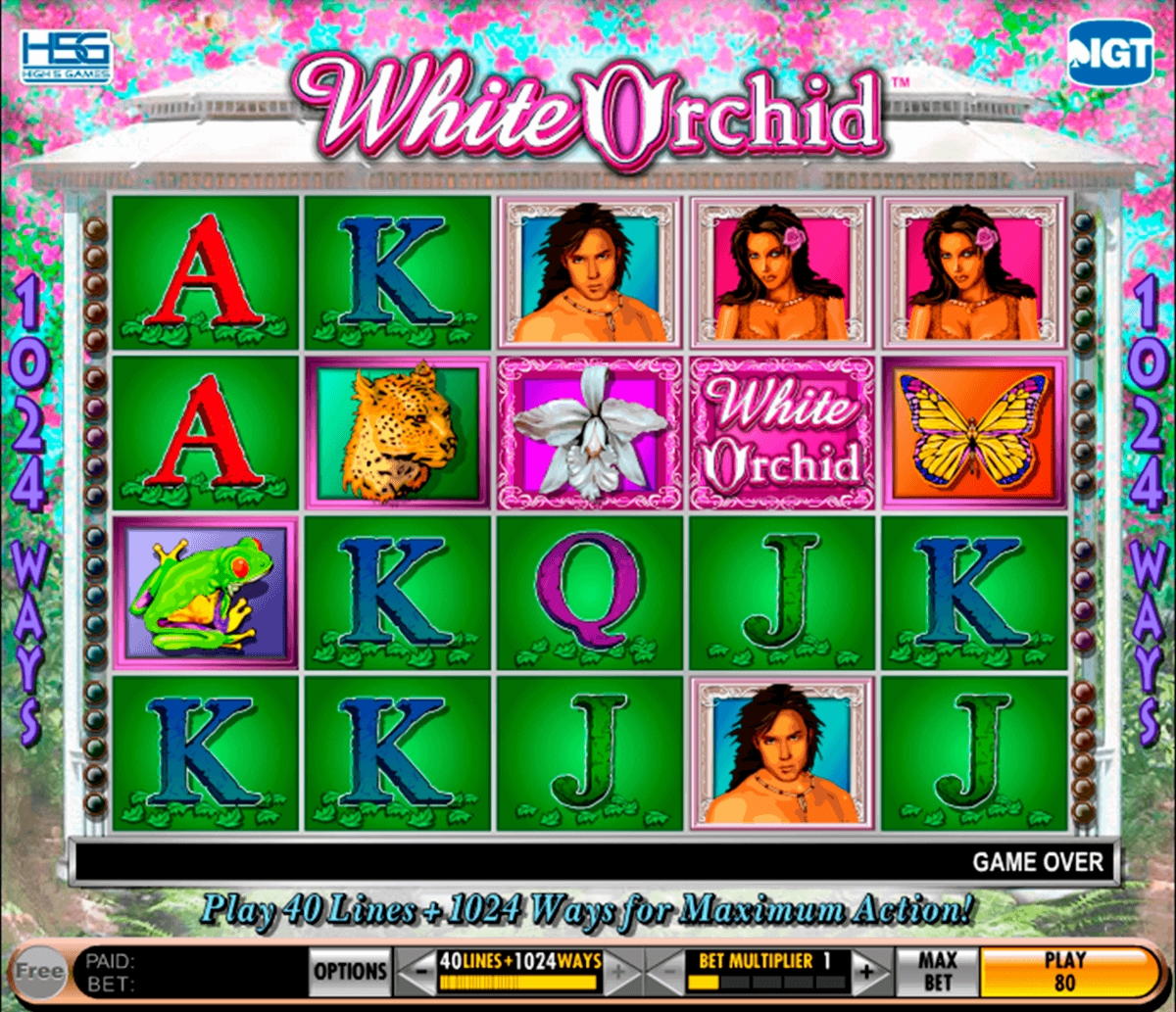 165 Free Casino Spins at bWin Casino